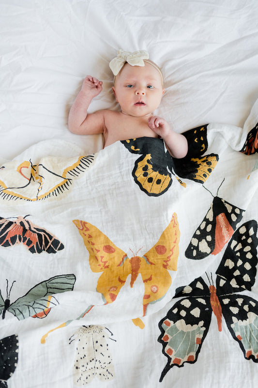 Muslin Butterfly Collector Swaddle